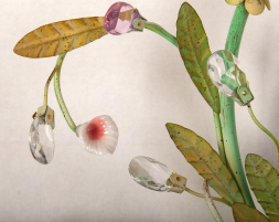 Бра Abrasax Suzanne SB0851/2B