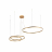 Подвесной светодиодный светильник Loft IT Ring 10017/3S