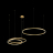 Подвесной светодиодный светильник Loft IT Ring 10017/3S