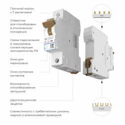 Автоматический выключатель Werkel 1P 10А C 6кА W901P106 4690389192548