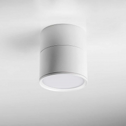 Накладной светодиодный светильник Lightstar Acuto 215886