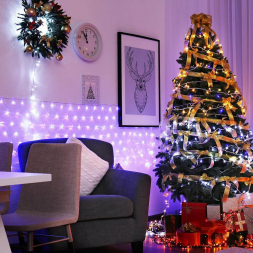 Светодиодная гирлянда Ardecoled сеть 230V белый ARD-Netlight-Home-1500X1500-Clear-150Led White 024673