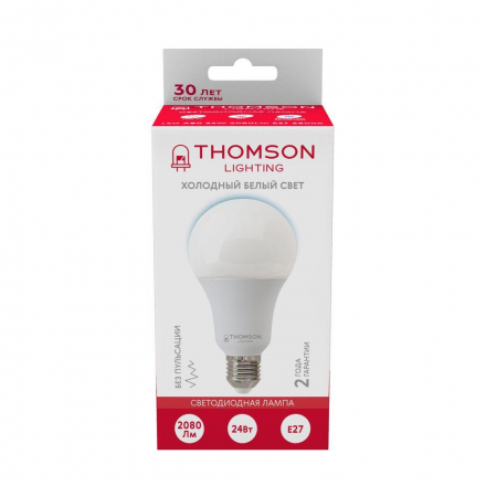 Лампа светодиодная Thomson E27 24W 6500K груша матовая TH-B2353