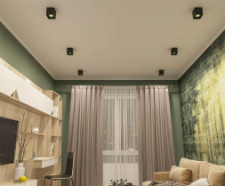 Потолочный светильник Denkirs DK3020BGR DK3080-BK+GR