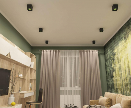 Потолочный светильник Denkirs DK3020BGR DK3080-BK+GR