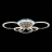 Потолочная светодиодная люстра Evoled Cerina SLE500582-06RGB