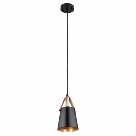Подвесной светильник Arte Lamp THOMAS A7032SP-1BK