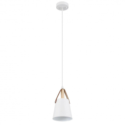 Подвесной светильник Arte Lamp THOMAS A7032SP-1WH