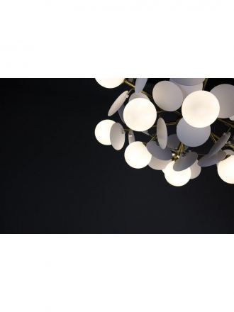 Подвесная люстра Zortes Floret ZRS.01201.12
