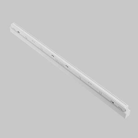 Трековый светодиодный светильник Maytoni Technical Basis TR030-2-24W4K-W