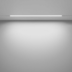 Трековый светодиодный светильник Maytoni Technical Basis TR030-2-24W4K-W