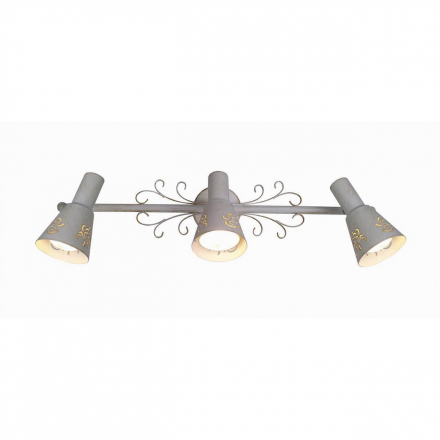 Спот Citilux Дункан CL529532