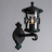 Уличный настенный светильник Arte Lamp Persia A1451AL-1BG