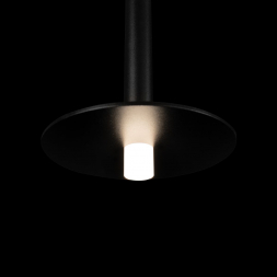 Подвесной светодиодный светильник Loft IT Reed 10358/830 Disk