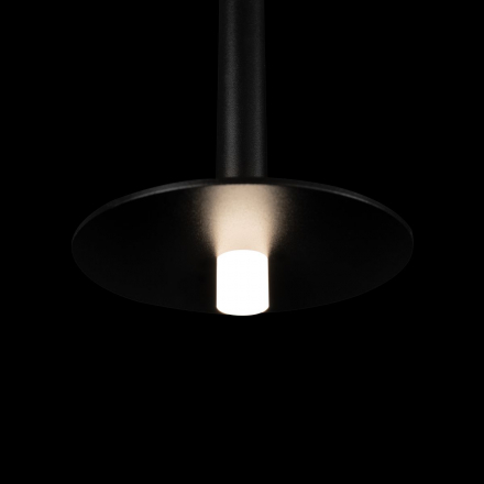 Подвесной светодиодный светильник Loft IT Reed 10358/830 Disk