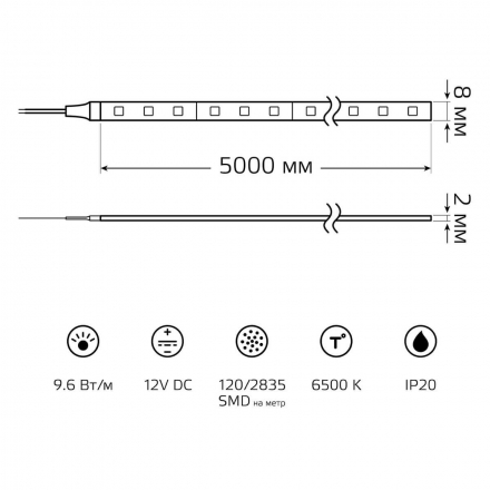 Светодиодная лента Gauss 9,6W/m 120LED/m 2835SMD холодный белый 5M 312000310