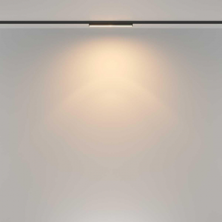 Трековый светильник Maytoni Technical TR183-1-12WTW-B