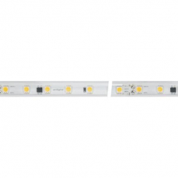 Светодиодная влагозащищенная лента Arlight 8W/m 54LED/m 5060SMD холодный белый 10M 029403(2)