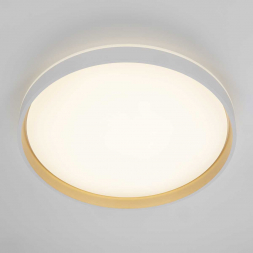 Светильник потолочный Citilux ENZO CL753510G