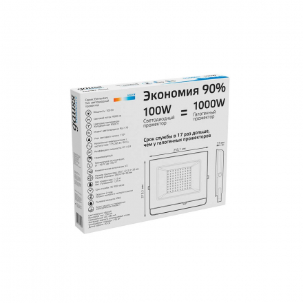 Прожектор светодиодный Gauss 100W 613100100
