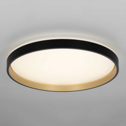 Светильник потолочный Citilux ENZO CL753511G