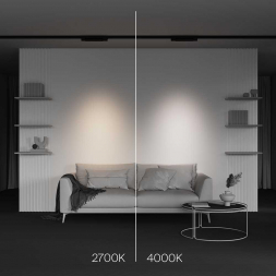 Трековый светодиодный светильник Maytoni Technical Points TR195-3-10W4K-M-B