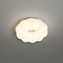 Потолочный светодиодный светильник Zortes Soft ZRS.1118.2