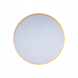 Потолочный светодиодный светильник Loft IT Axel 10002/24 yellow