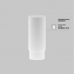 Трековый светильник Maytoni Technical Focus Led TR032-2-12W4K-M-BBS