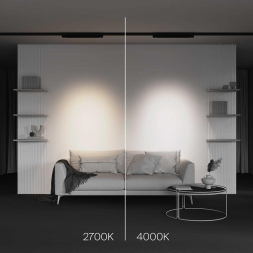 Трековый светодиодный светильник Maytoni Technical Points TR195-3-20W4K-M-B