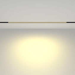Трековый светодиодный светильник Maytoni Technical Basis TR030-2-24W2.7K-B