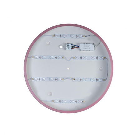 Потолочный светодиодный светильник Loft IT Axel 10003/24 pink
