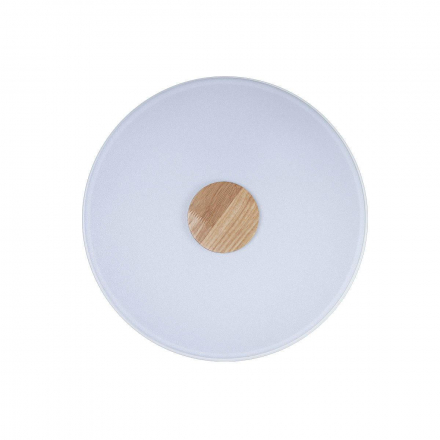Потолочный светодиодный светильник Loft IT Axel 10003/24 white