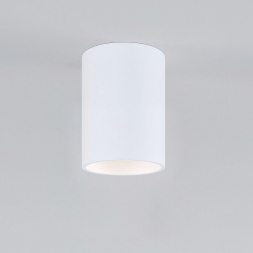 Потолочный светильник Elektrostandard Porter 25011/01 GU10 белый a064288