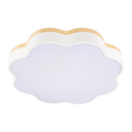 Потолочный светодиодный светильник Loft IT Axel 10225/36 White