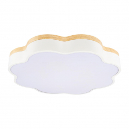 Потолочный светодиодный светильник Loft IT Axel 10225/36 White