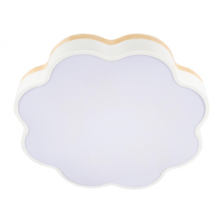 Потолочный светодиодный светильник Loft IT Axel 10225/36 White