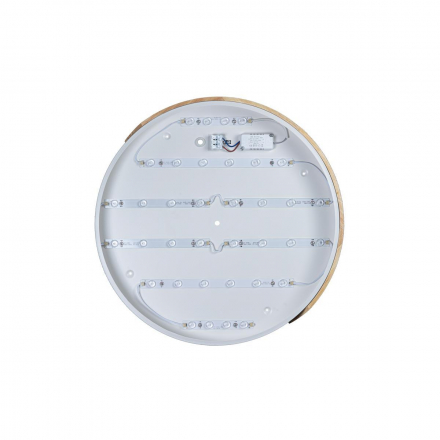 Потолочный светодиодный светильник Loft IT Axel 10004/36 white