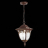 Уличный подвесной светильник ST Luce Chiani SL083.703.01