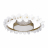 Потолочный светодиодный светильник Loft IT Bride 10174