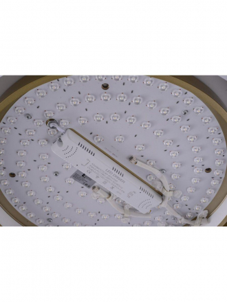 Потолочный светодиодный светильник Zortes Adel ZRS.1200.01