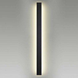 Уличный настенный светодиодный светильник Odeon Light Fibi 4379/29WL