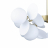 Подвесная люстра Loft IT Matisse 10008/8 White
