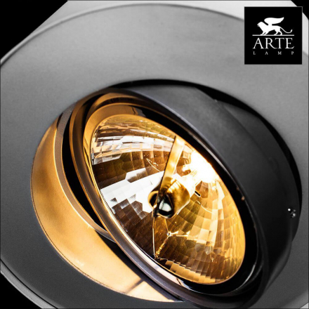 Потолочный светильник Arte Lamp Cliff A5643PL-1WH