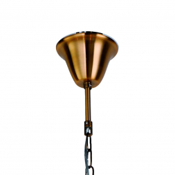 Подвесная люстра Favourite Assembly 2060-7P