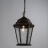 Уличный подвесной светильник Arte Lamp Genova A1205SO-1BN