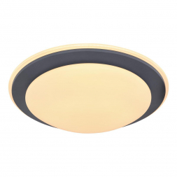 Потолочный светодиодный светильник Globo Deggi 48297-36