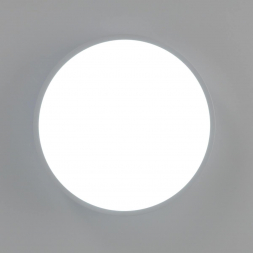 Потолочный светильник Citilux Купер CL72424V0