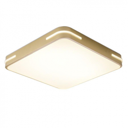 Потолочный светодиодный светильник Zortes Gabby ZRS.1215.03