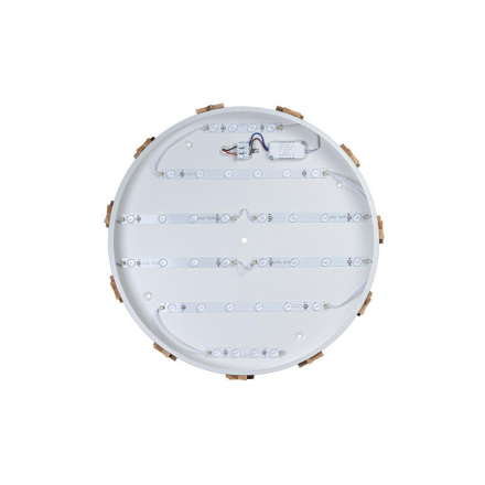 Потолочный светодиодный светильник Loft IT Axel 10006/36 white